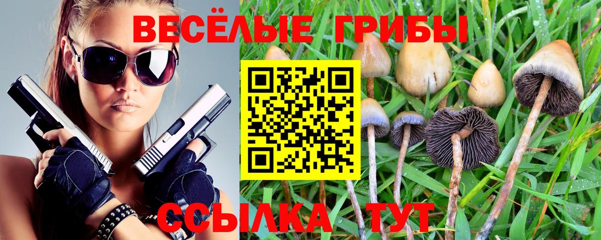 Галлюциногенные грибы мицелий Чебоксары