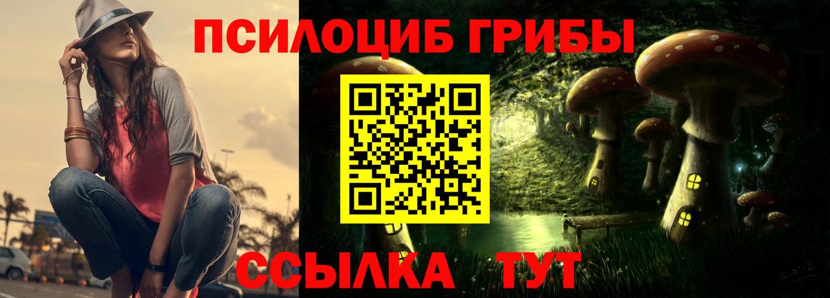 Чебоксары  Псилоцибиновые грибы мухоморы  Галлюциногенные грибы Psilocybe  Вход с VPN 